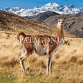 Cover: Patagonia National Park: Chile - Patagonia Books