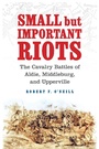 Bild: Small but Important Riots - Potomac Books Inc