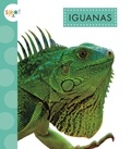 Cover: Iguanas - AMICUS INK