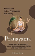Cover: Pranayama - Darby Connor