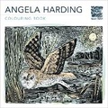 Cover: Angela Harding Colouring Book - Flame Tree Publishing