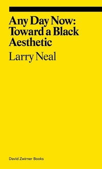 Abbildung von: Any Day Now: Toward a Black Aesthetic - David Zwirner