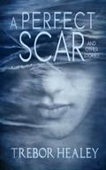 Cover: A Perfect Scar and Other Stories - ReQueered Tales