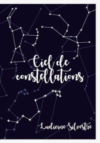 Abbildung von: Ciel de constellations - BoD - Books on Demand