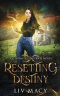 Cover: Resetting Destiny - Write to Read Publishing, LLC