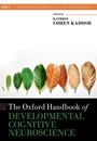 Bild: The Oxford Handbook of Developmental Cognitive Neuroscience - Oxford University Press