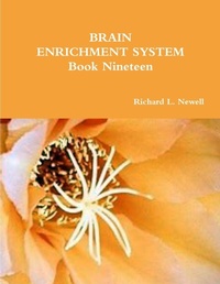 Abbildung von: BRAIN ENRICHMENT SYSTEM Book Nineteen - Lulu.com