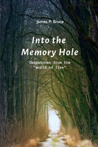 Enlarge image Cover: Into the Memory Hole - Lulu.com