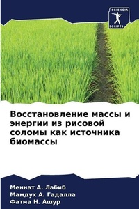 Enlarge image Cover: ?????????????? ????? ? ??????? ?? ??????й - Sciencia Scripts