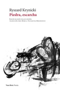 Cover: Piedra, escarcha - Vaso Roto Ediciones S.L