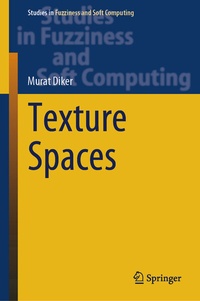 Abbildung von: Texture Spaces - Springer