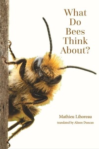 Abbildung von: What Do Bees Think About? - Johns Hopkins University Press