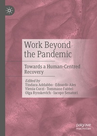 Abbildung von: Work Beyond the Pandemic - Palgrave Macmillan