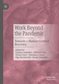 Enlarge image Cover: Work Beyond the Pandemic - Palgrave Macmillan
