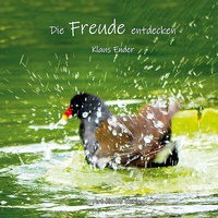 Abbildung von: Die Freude entdecken - Ender, Klaus - Art Photo Archiv