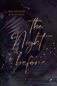 Enlarge image Cover: The Night before - Nova MD