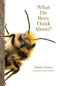 Abbildung von: What Do Bees Think About? - Johns Hopkins University Press