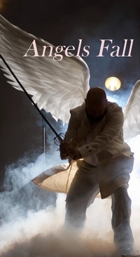 Enlarge image Cover: Angels Fall - Robert Palmer