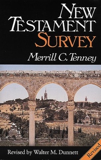 Enlarge image Cover: New Testament Survey - Eerdmans