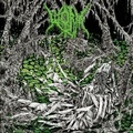 Cover: Gloomlord (Jewel Case) - GoodToGo GmbH / K&ouml;ln