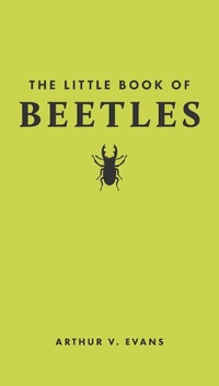 Abbildung von: The Little Book of Beetles - Princeton University Press