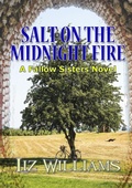 Cover: Salt on the Midnight Fire - NewCon Press