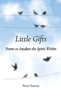 Cover: Little Gifts - Spirit Speaks Publishing