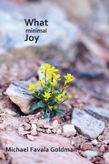 Cover: What Minimal Joy - Spuyten Duyvil