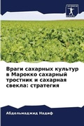 Cover: ????? ???????? ??????? ? ??????? ???????й - Sciencia Scripts
