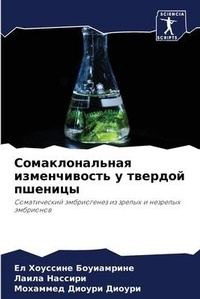 Enlarge image Cover: ?????????????? ???????????? ? ??????? ?? - Sciencia Scripts