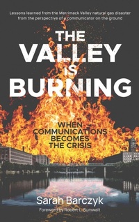 Enlarge image Cover: The Valley Is Burning - Sarah J. Barczyk