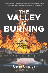 Enlarge image Cover: The Valley Is Burning - Sarah J. Barczyk