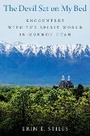 Cover: The Devil Sat on My Bed - Oxford University Press Inc
