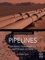 Cover: Pipelines - Gulf Professional Publishing