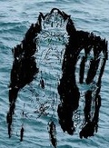 Cover: Neptunalia - IngramSpark