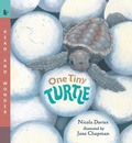 Cover: One Tiny Turtle - Candlewick Press,U.S.