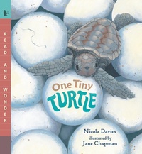 Enlarge image Cover: One Tiny Turtle - Candlewick Press,U.S.