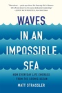 Cover: Waves in an Impossible Sea - Basic Books