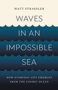 Cover: Waves in an Impossible Sea - Basic Books