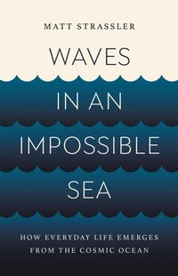 Enlarge image Cover: Waves in an Impossible Sea - Basic Books