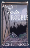 Cover: Amish Twin Trouble - Prayerful Productivity
