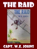 Cover: The Raid - Alien eBooks