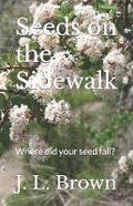 Cover: Seeds on the Sidewalk - Txu 2-318-204
