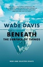 Cover: Beneath the Surface of Things - Greystone Books,Canada