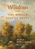 Cover: Wisdom from the Hidden Life of Trees - Greystone Books,Canada