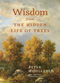 Abbildung von: Wisdom from the Hidden Life of Trees - Greystone Books,Canada