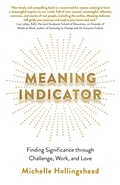 Cover: Meaning Indicator - Changemakers Books