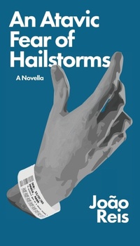 Enlarge image Cover: An Atavic Fear of Hailstorms - Long Day Press