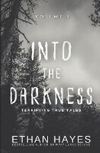 Enlarge image Cover: Into the Darkness - Free Reign Publishing