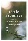 Cover: Little Promises - Discovery House